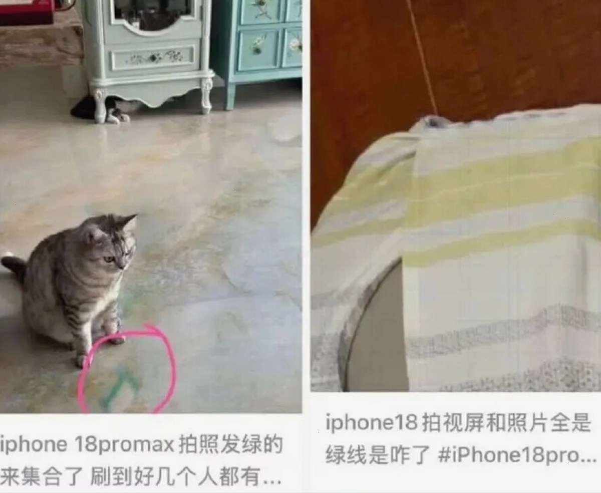 赛程